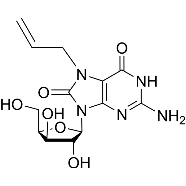 7-Allyl-7,8-dihydro-8-oxo-9-(β-D-xylofuranosyl) guanine 2389988-25-2